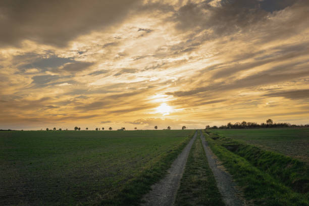 istock Summer landscape with green grass, road and clouds. 1157814855