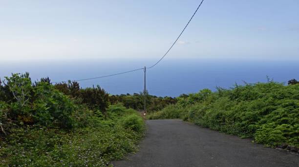 istock Landscape on tenerife island 1157822596