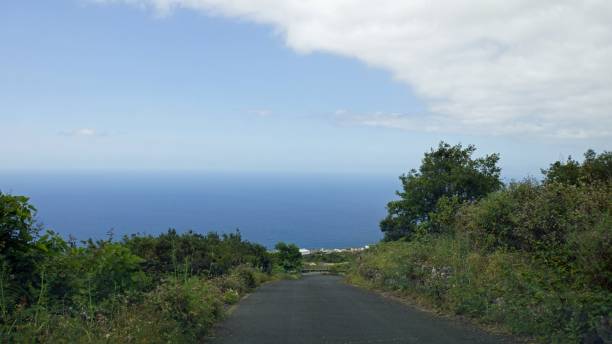 istock Landscape on tenerife island 1157822695