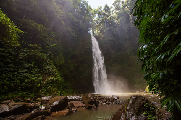 istock Nung-Nung Bali waterfall in rainforest. 1157823040
