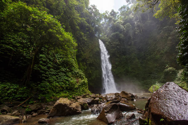 istock Nung-Nung Bali waterfall in rainforest. 1157823045