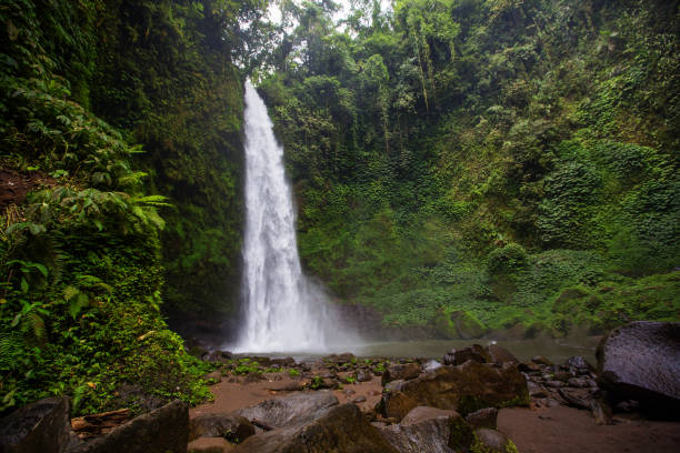 istock Nung-Nung Bali waterfall in rainforest. 1157823049