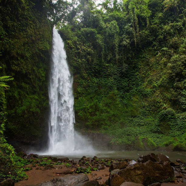 istock Nung-Nung Bali waterfall in rainforest. 1157823055