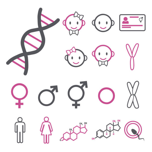 ilustraciones, imágenes clip art, dibujos animados e iconos de stock de iconos vectoriales establecidos para crear infografías relacionadas con el género, las transexuales y las intersexuales, como el adn, los cromosomas, las hormonas masculina sin mujer - hormone therapy hrt pill medicine