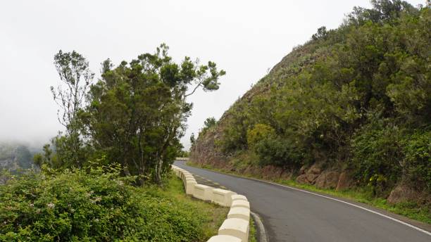 istock Landscape on tenerife island 1157824514