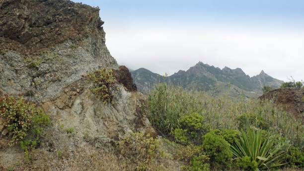 istock Landscape on tenerife island 1157824805