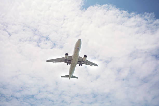istock Passenger airplane landing or taking off at sunset 1157824880