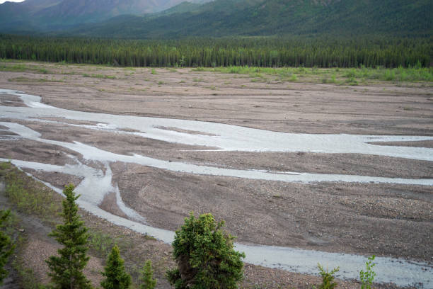 Mountain river. Ergaki nature Park. East Sayan ridge. Beautiful nature of Siberia. Tall pines and firs. Mountain landscape.