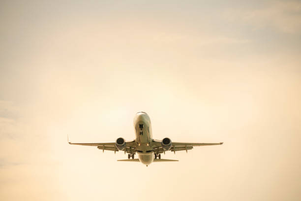 istock Passenger airplane landing or taking off at sunset. 1157825990