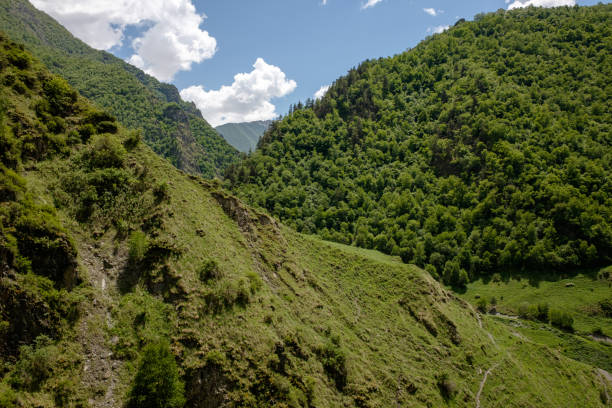 istock Mutso Fortress in Georgia 1157826442