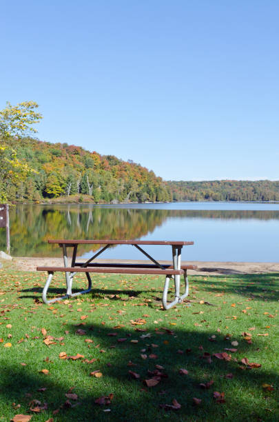 istock Forest lake in sunny autumn day 1157831323