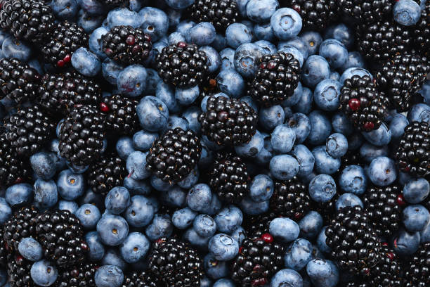 istock Blackberry and  blueberry background. Top view. 1157831807
