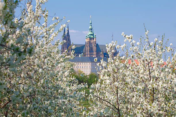 praga, castello di praga - hradcany castle prague czech republic spring foto e immagini stock