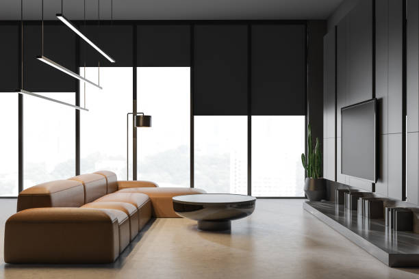 Living room interior with leather sofa and TV