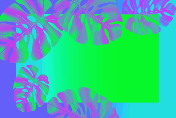 istock tropical leaves. Leaves of Monstera leaves used as a backdrop. Design 1157840276