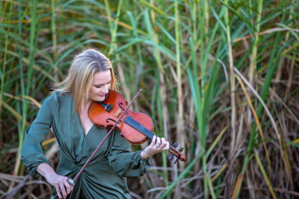 istock Beautiful Woman Playing Violin Against Sugar Cane 1157845391