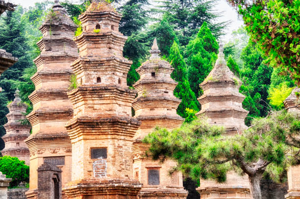 Talin Buddhist Pagoda forest China The ancient talin buddhist pagoda forest near the Shaolin Temple in Dengfeng city in Henan Province China. shaolin monastery stock pictures, royalty-free photos & images