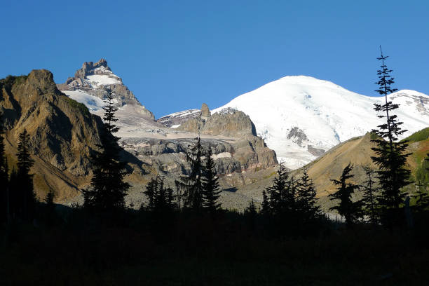 istock Mount Rainier and Little Tahoma Peak 1157856108