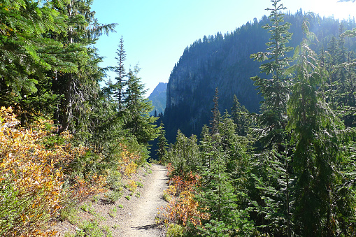 Summerland and Panhandle Gap Trail, Mount Rainier