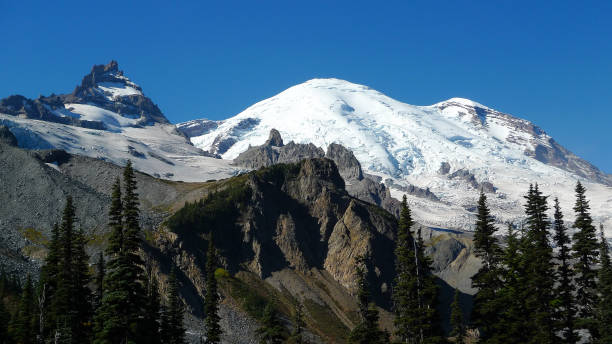 istock Mount Rainier and Little Tahoma Peak 1157856388