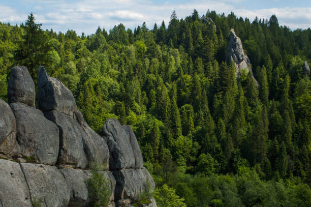 istock Old Tustan Rock located in the forest in spring 1157856665