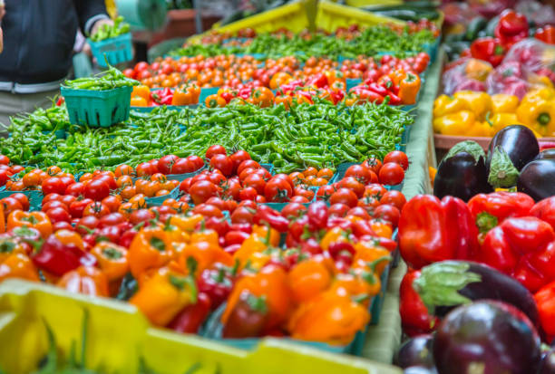 mercado de agricultores produz tomates de pimenta e muito mais - eggplant farmers market purple agricultural fair - fotografias e filmes do acervo