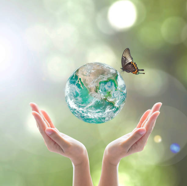istock World environment day and ecological friendly concept with green planet on hands with tree leaves: Elements of this image furnished by NASA 1157858246