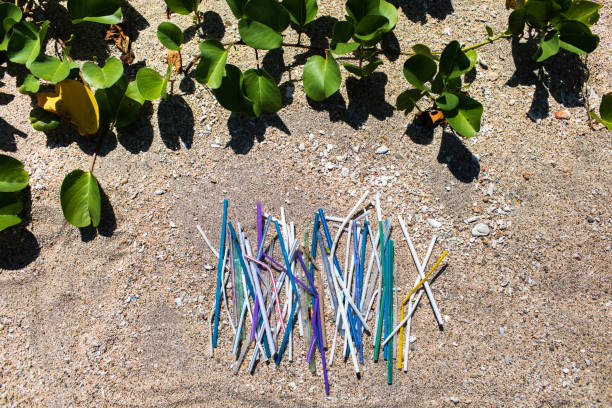 istock Heap of different multicolor plastic straws collected on the beach on sand background with green leaves around 1157858431