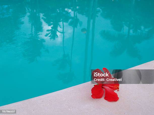 Foto de Reflexo Da Piscina Flor De Hibisco Na Beira Da Piscina e mais fotos de stock de Azul Turquesa