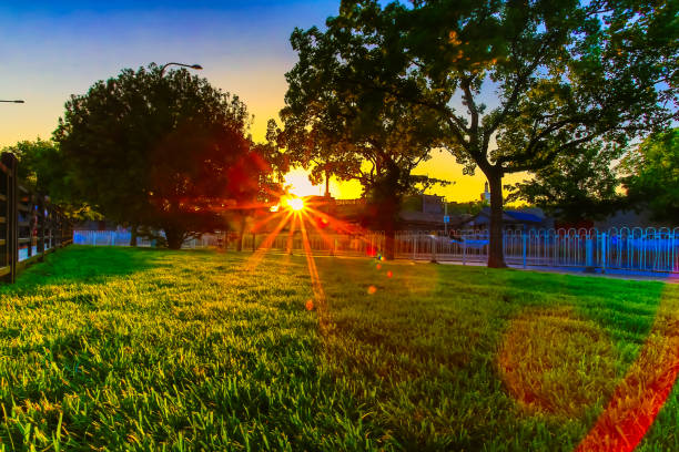 The rugged city has a rare sunset through the branches, and the golden sun shines on the green lawn.