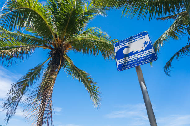 istock Tropical palm leaf with bokeh blue sky and sun light at summer beach background. 1157879532
