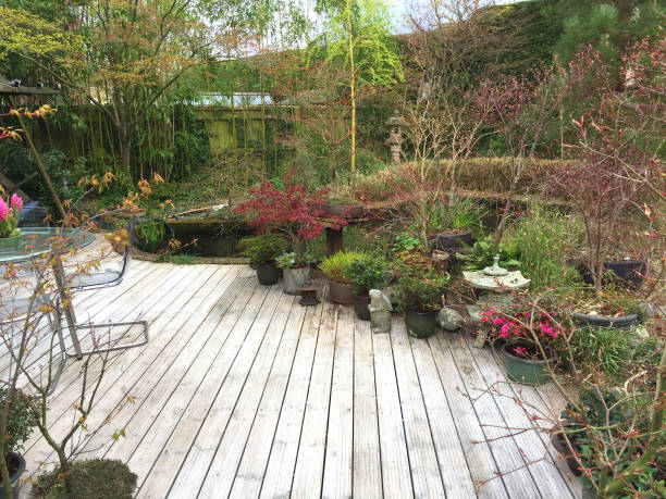 Image of late winter / early spring garden with grooved wooden white garden decking timber painted and treated with woodseal varnish coat, contemporary glass round patio table for family outdoor eating perspex chairs, pots of flowers and Japanese koi pond Stock photo of wooden white garden decking timber with garden furniture and swing chair, koi pond, landscaped oriental Zen Japanese garden maples / acers, acer palmatum trees spring leaves and azalea flowers perspex stock pictures, royalty-free photos & images