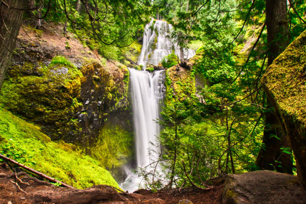 istock Lush green valley with Fall creek falls in Southern Washington 1157881280