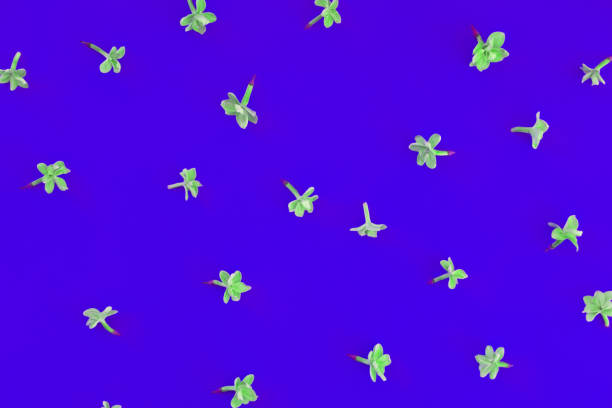 istock Floral simple minimalist wallpaper 1157881458