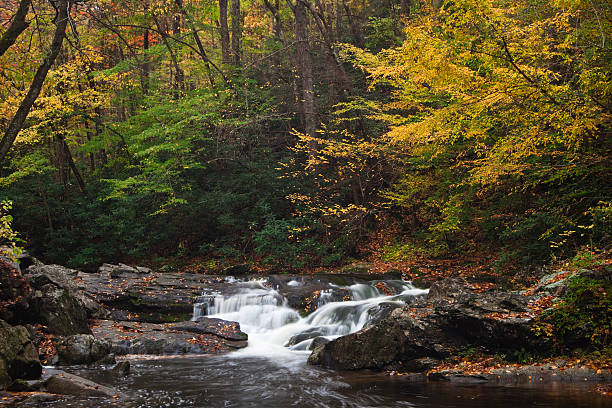 istock Little River - Great Smoky Mountain National Park 115788183