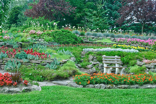 istock Garden with flowerbeds, decorative plants in a summer park 115788197