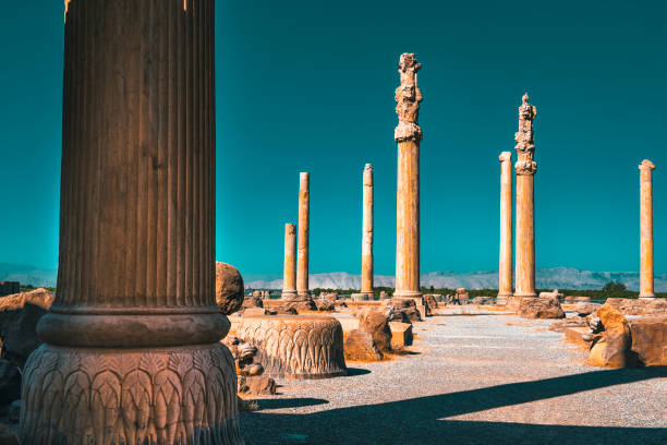 The Massive Columns of Persepolis under a Golden Light Light contrasts at the Apadana Palace in Persepolis, Iran. persian empire stock pictures, royalty-free photos & images