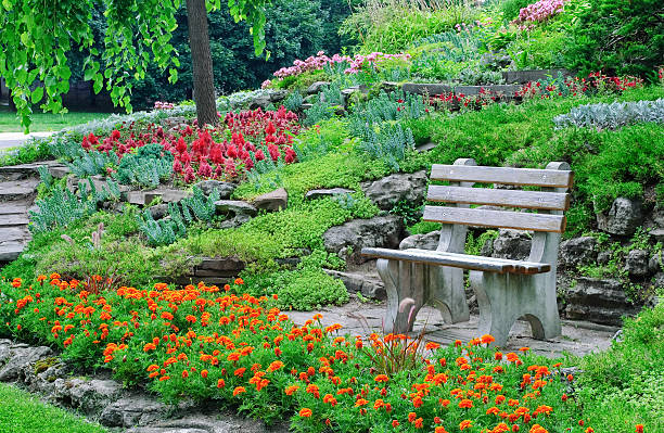 istock Bench surrounded by flowerbeds, decorative plants in a summer park 115788772