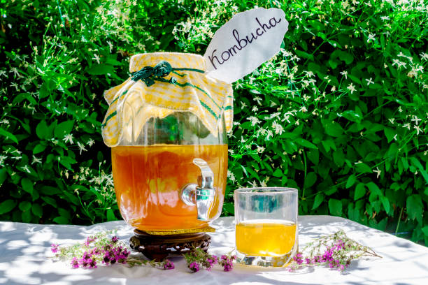 rafraîchissant thé kombucha avec du thym dans une bouteille en verre vieux millésime et un verre, avec l'étiquette écrite kombucha sur elle sur fond de fleurs floues. boisson aromatisée probiotique naturelle saine. espace de copie - fungus science bottle glass photos et images de collection