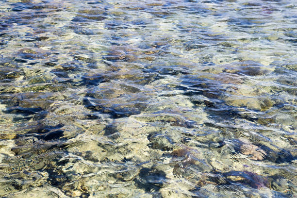 el arrecife de coral es visible a través del agua azul claro. hermosa fotografía de olas de mar azul de cerca. vacaciones en la playa en el mar o en el océano. fondo para insertar imágenes y texto. turismo, viajes. - beach coral close up water fotografías e imágenes de stock