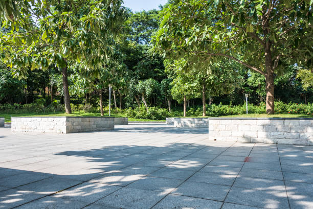 istock city park,shenzhen 1157892948