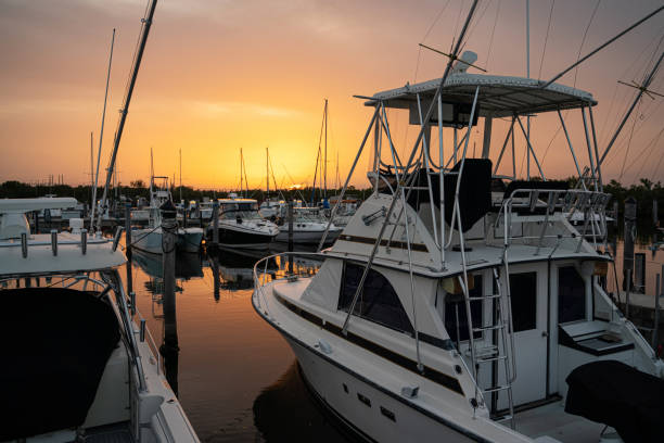 istock Marina Miami Florida at sunset 1157893027