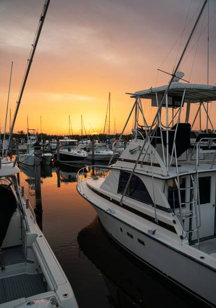 istock Marina Miami Florida at sunset 1157893841
