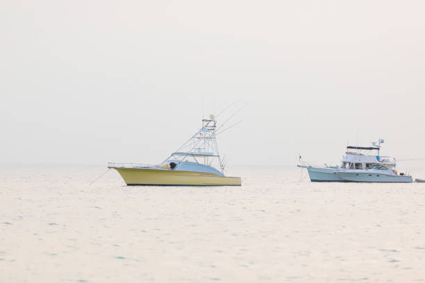 istock Boats anchored in Miami Florida 1157893888