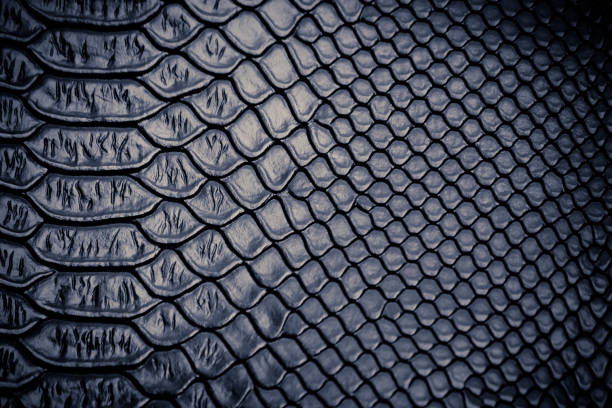 istock close up of snake skin texture 1157894889
