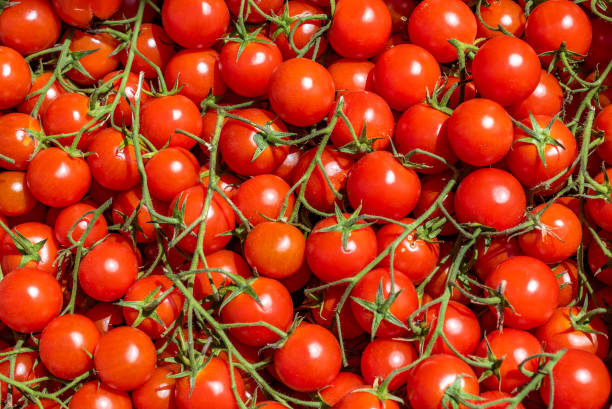 istock Red tomatoes background. Group of fresh cherry tomatoes. 1157897097