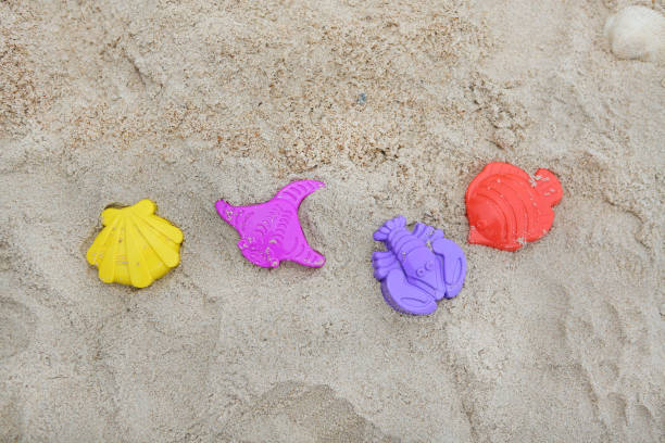 istock Tool and animal block sand forming on the beach 1157898320