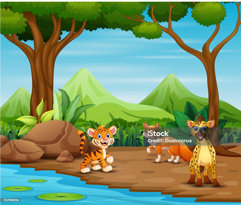 Ilustración de Animales Salvajes Dibujos Animados Que Viven En El Bosque y más Vectores Libres de Derechos de Jugar - iStock Ilustración de Animales Salvajes Dibujos Animados Que Viven En El Bosque y más Vectores Libres de Derechos de Jugar - iStock