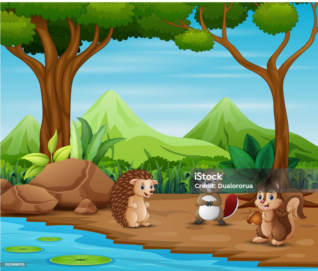 Animals Cartoon Living In The Forest Stock Illustration - Download Image  Now - Forest, Mountain, Agricultural Field - iStock