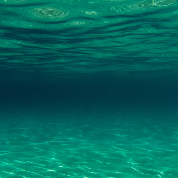 istock Summer time under the sea ocean water 1157898996